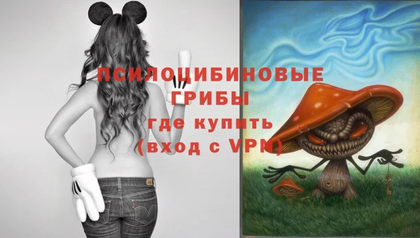 2c-b Баксан