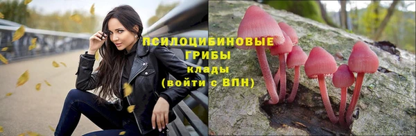 альфа пвп Переславль-Залесский